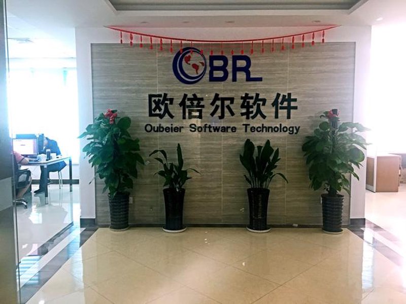 北京软件开发：选择与成长